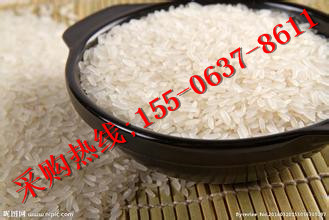鱼台大米生产厂家|鱼台大米原产地供应